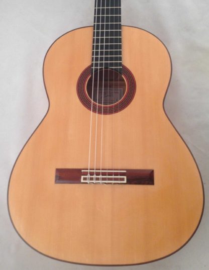 Flamenco-guitar-Leonardo-Plattner-2012-board