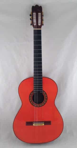 Flamenco-guitar-Pedro-de-Miguel-2005