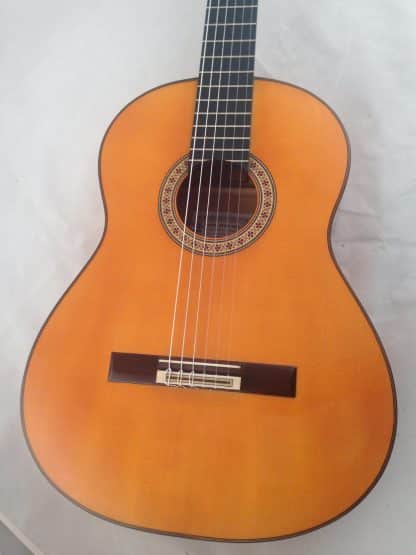 Flamenco-guitar-Manuel-Reyes-hijo-2016-for-sale
